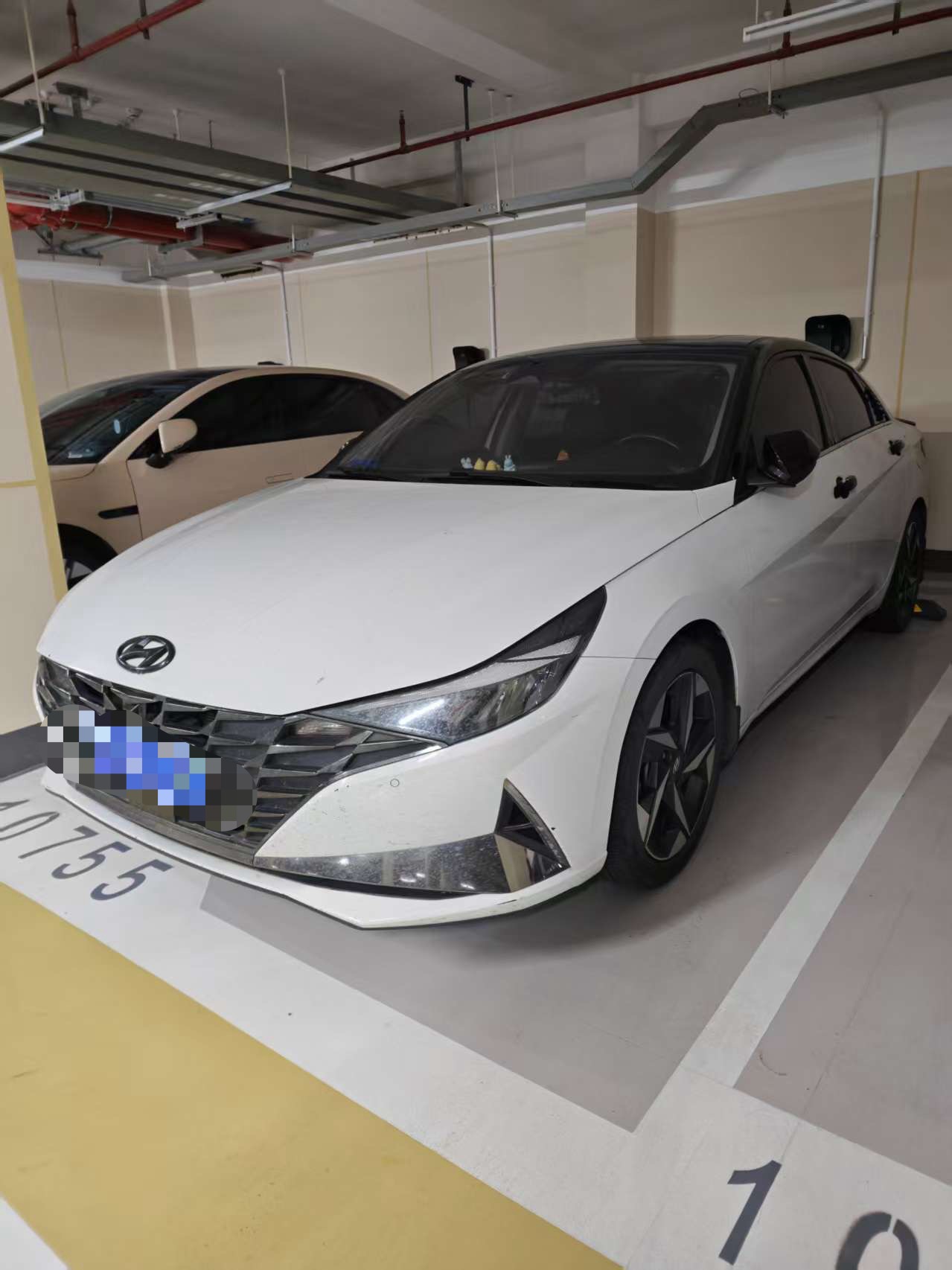 Elantra 1,5 L CVT LUX Premium Edition 2021
